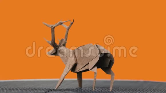 橙色背景上的鹿俑视频的预览图