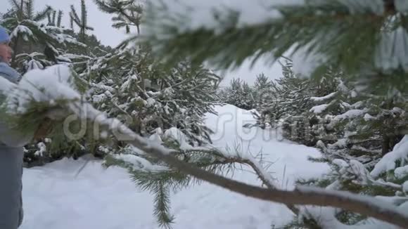 冬天雪天在松林散步的女人后景视频的预览图