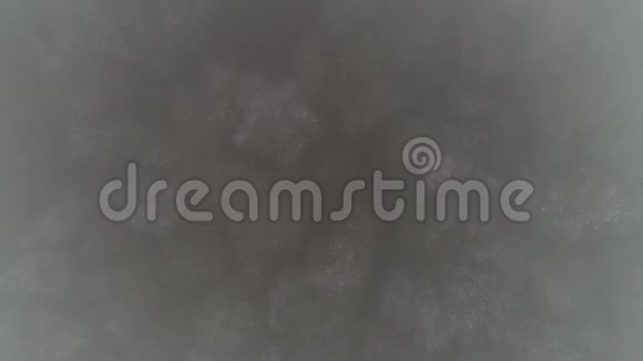 在雾中的霜冻中飞过树林视频的预览图