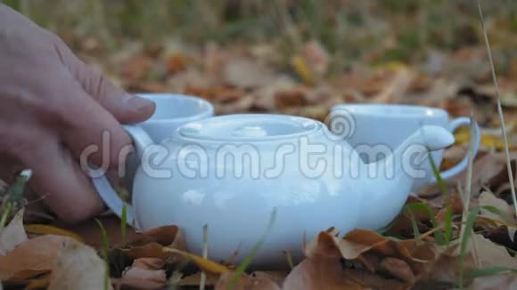 站在秋叶杯中的白瓷茶壶绿茶视频的预览图