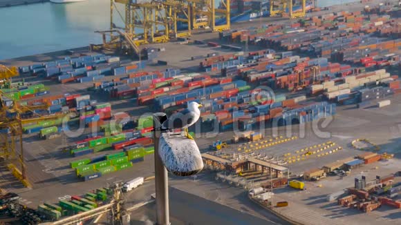 海鸥坐在一盏路灯上背景是工厂海港和工业日落飞行平静视频的预览图