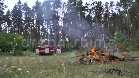两个红色消防车闪烁的灯接近森林以扑灭燃烧的火灾场景消防车视频的预览图