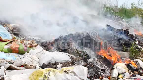在垃圾场开火焚烧垃圾生态面临危险视频的预览图