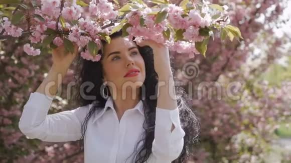 美丽的黑发触摸樱花盛开的枝条视频的预览图