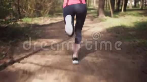 春天阳光充足的森林里奔跑的女跑步者视频的预览图