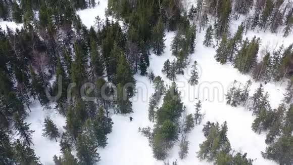人们在冬季森林中滑雪下坡极限运动理念录像运动员高空俯视图视频的预览图