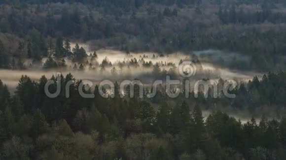 沿着弯曲的沙河移动雾的时光流逝电影俄勒冈州一个清晨10080p视频的预览图