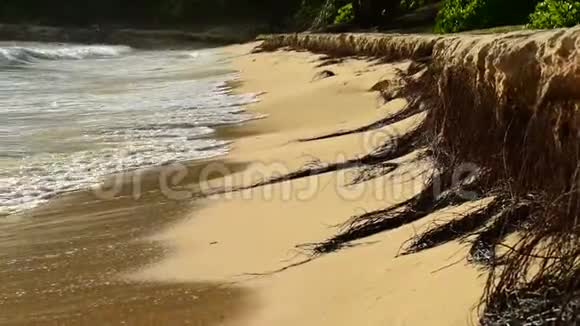 在懒洋洋海滩的海滩上海浪拍打着海岸视频的预览图