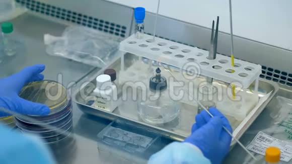 实验室里的人用桌子上的特殊设备工作掺杂试验概念视频的预览图