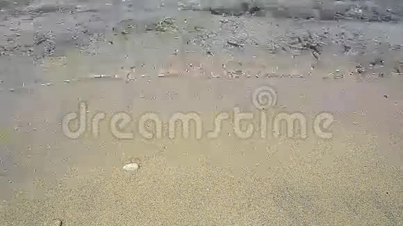 在沙子里的爱视频的预览图