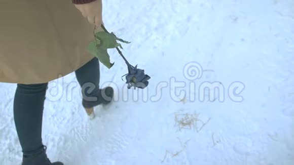 女孩把一朵蓝玫瑰扔在雪地上跑了视频的预览图