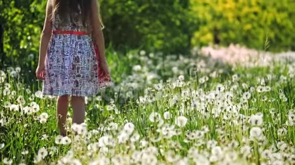 阳光明媚的一天一个小女孩带着蒲公英穿过花园慢动作视频的预览图