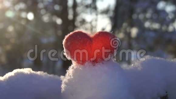 雪上的红毡毛心冬日夕阳的慢镜头给背光视频的预览图