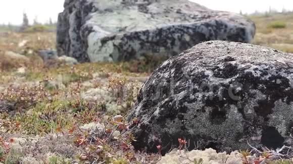开阔地的大石头视频的预览图