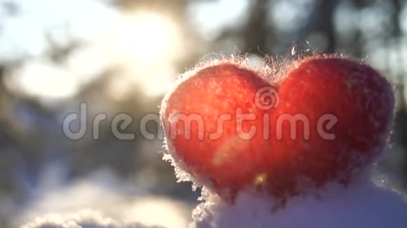 羊毛红色的心在雪地上被冬日的夕阳慢慢地照亮视频的预览图