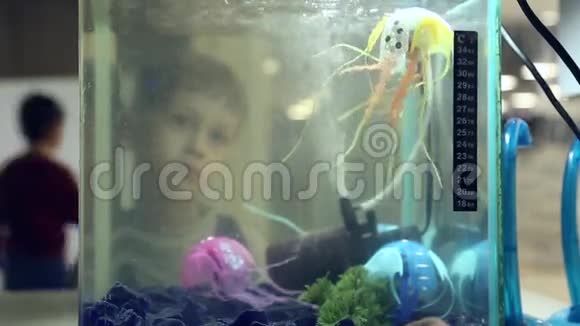 机器人在水族馆里游泳视频的预览图