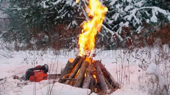 篝火晚会点燃了冬林中的火种地上躺着一只电锯视频的预览图