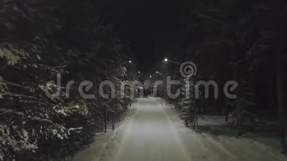 在冬季的松树林中夜间为雪道飞行剪辑空夜路与光明视频的预览图