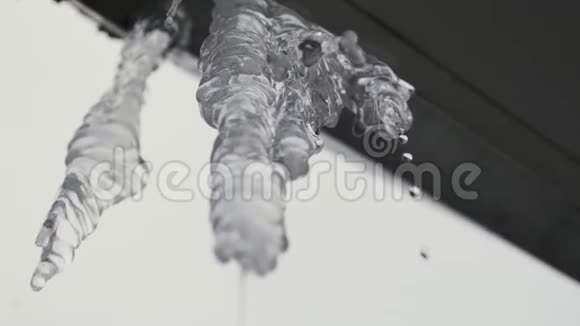 春季从屋顶悬挂的融化冰柱的底部视图库存录像从冰柱滴到灰色的水视频的预览图