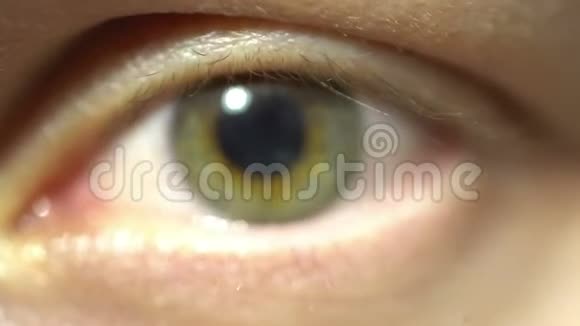 绿眼极致特写虹膜和瞳孔扩张收缩非常详细从真正的人的眼睛建模视频的预览图