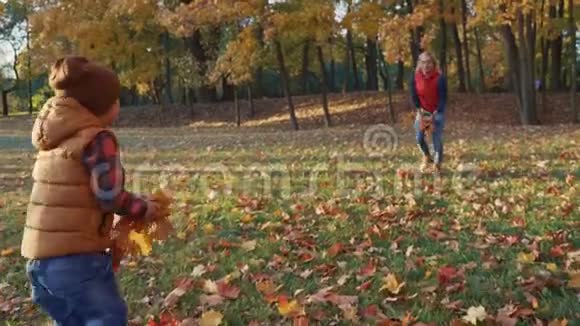 母亲和蹒跚学步的儿子正在秋天的公园或森林里和落叶一起玩耍妈妈把树叶扔进去视频的预览图