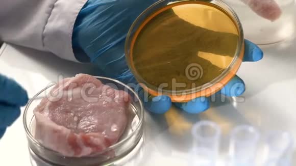 实验室的一位科学家对肉类进行微生物分析视频的预览图