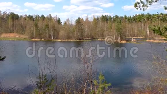 景观湖泊和北部森林视频的预览图