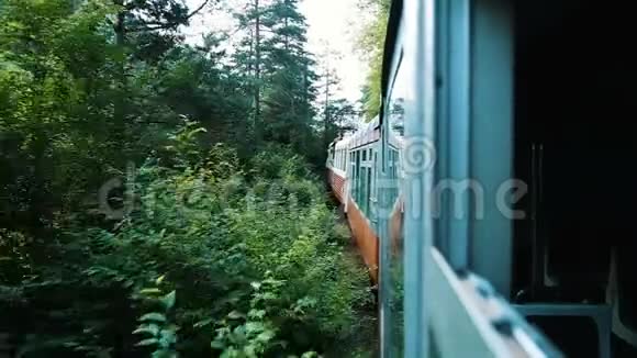 在狭窄的轨距铁路上的森林里旅行夏天从敞开的车窗看到汽车慢动作视频的预览图