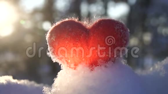 红色的毛心在雪地上被冬日的夕阳背光慢动作视频的预览图