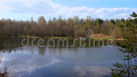 景观湖泊和北部森林视频的预览图