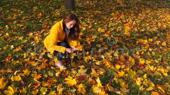 女人从地上摘下鲜艳的落叶美丽的黄束视频的预览图