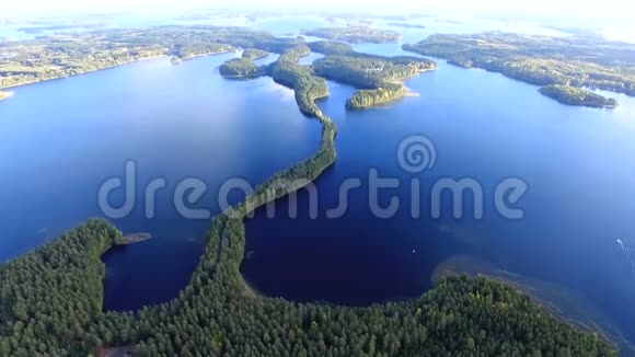 飞越湖泊和树林视频的预览图