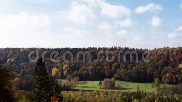 秋天在美丽的森林上运动有五颜六色的树木和动人的天空城堡的背景拉脱维亚视频的预览图