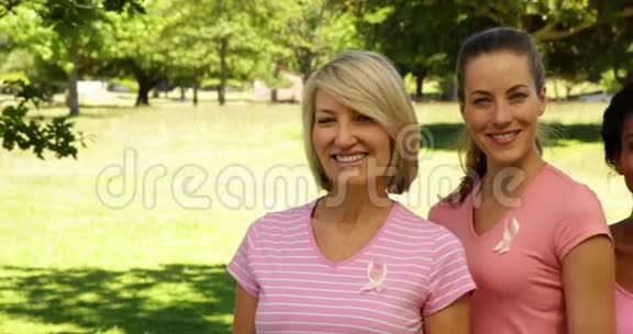 公园里不同穿粉色衣服的快乐女人为了了解乳腺癌视频的预览图