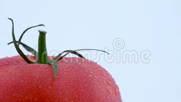 宏观拍摄一个大红番茄的左下部分与水滴在隔离的转盘上慢慢旋转视频的预览图