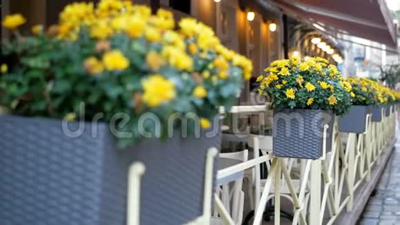 一家咖啡馆的篱笆上放着篮子里的花摄像机的焦点在花瓶之间移动视频的预览图