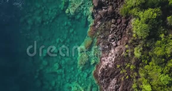 鸟瞰热带天堂海岸线在一个加勒比岛上绿松石水和小浪冲击岩石视频的预览图