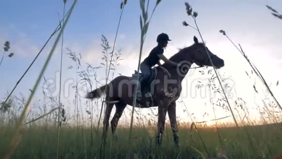 职业女骑手在田里骑着马视频的预览图