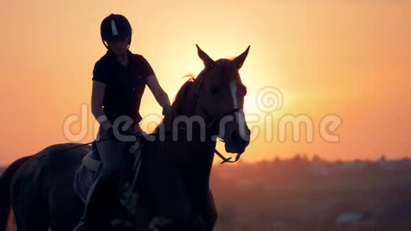 日落时分女骑师骑着一匹棕马视频的预览图