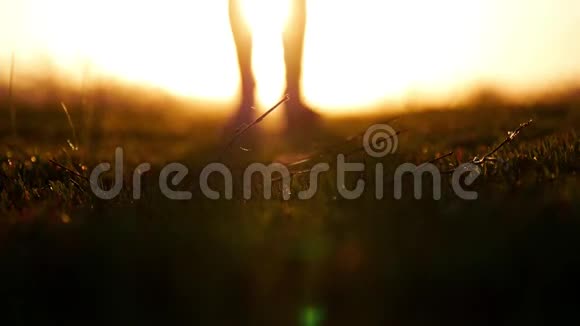 去夕阳下角腿光着脚在草地上踏着夕阳旅行者概念视频的预览图