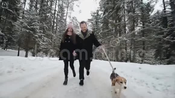 年轻漂亮的家庭在冬天的森林里和一只狗玩男人和女人在森林里和比格一起跑步视频的预览图