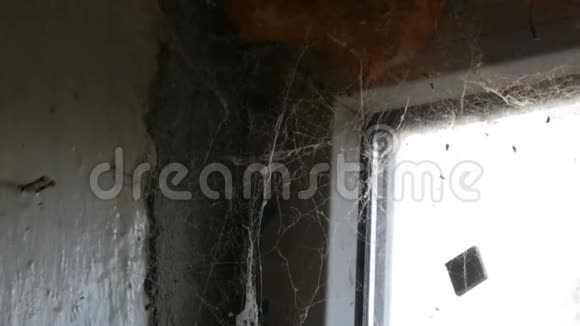 旧废弃的窗户上有很多蜘蛛网视频的预览图