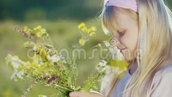 可爱的小女孩在绿色的风景背景下收集野花的构图视频的预览图