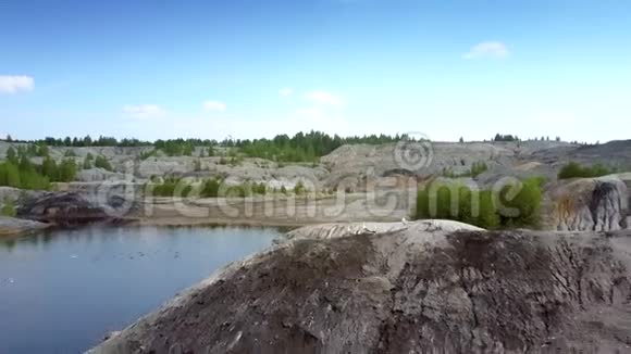 有湖岛和飞鸟的空中老泥石采石场视频的预览图