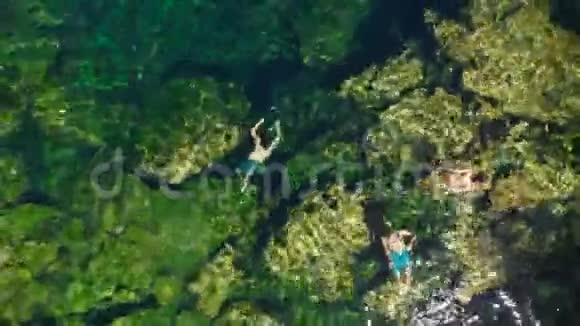 在丛林和伊甸园塞诺特河的头顶拍摄里面充满了游泳者视频的预览图
