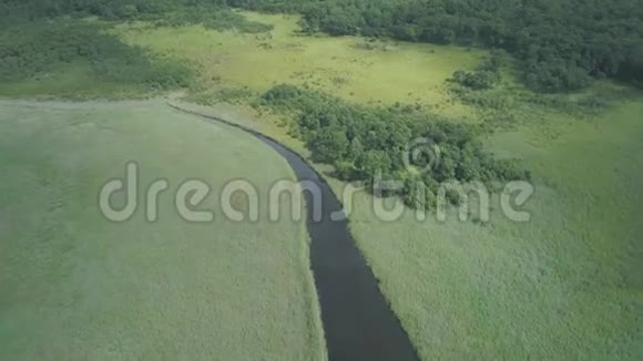 空中无人机垂直观绿色草地与河流的美丽自然风光视频的预览图
