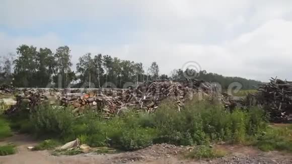 一堆被砍的树和树枝照相机移动视频的预览图