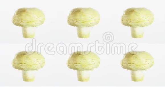 在白色背景上分离的蘑菇视频的预览图
