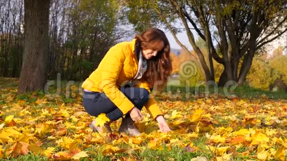 女人把黄色的叶子从地上拿出来视频的预览图
