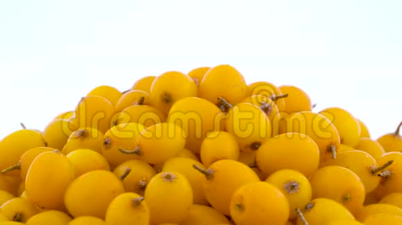 大范围拍摄橙色黄色普通沙棘浆果的上部在隔离的转盘上慢慢旋转视频的预览图